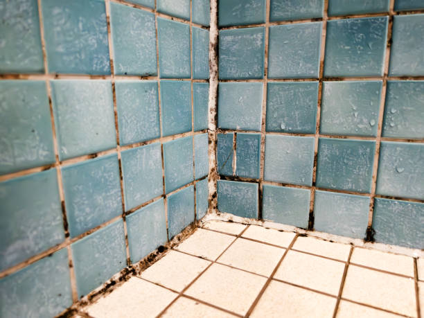 Best Real Estate Mold Inspection  in New Hope, OR