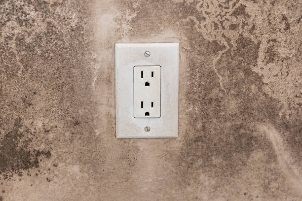 Best Basement Mold Removal  in New Hope, OR